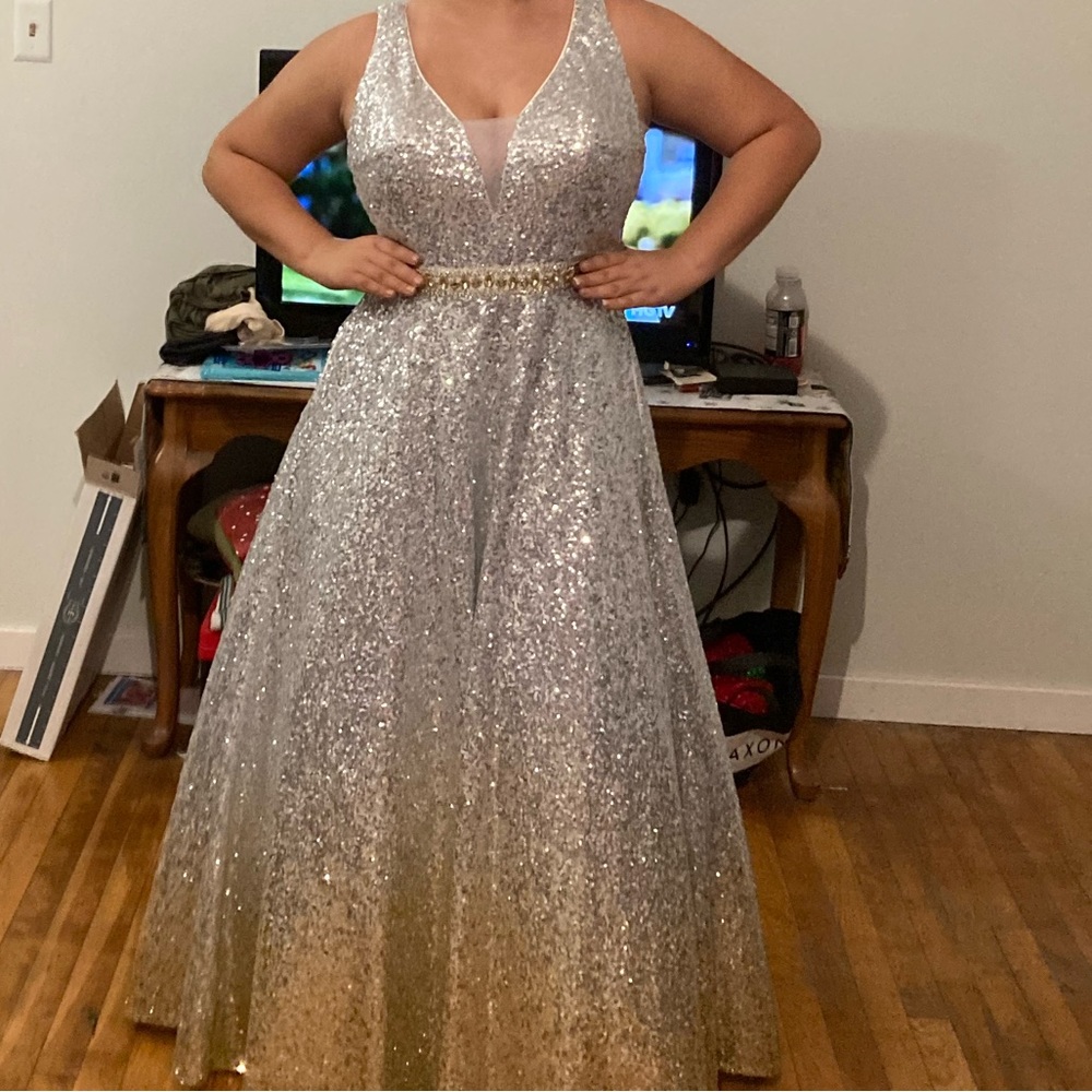 Silver/Gold gown. Size 12